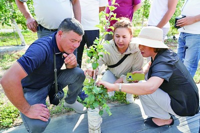 弘揚“中國-中亞精神”，推進共同現代化
